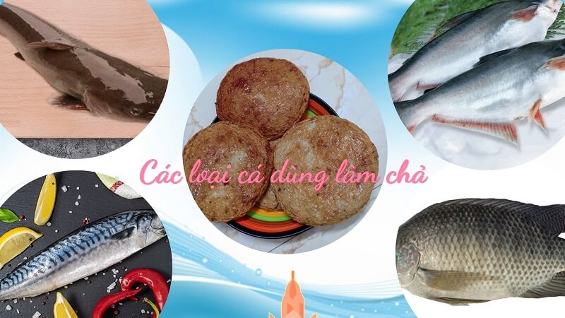 các loại cá dùng làm chả